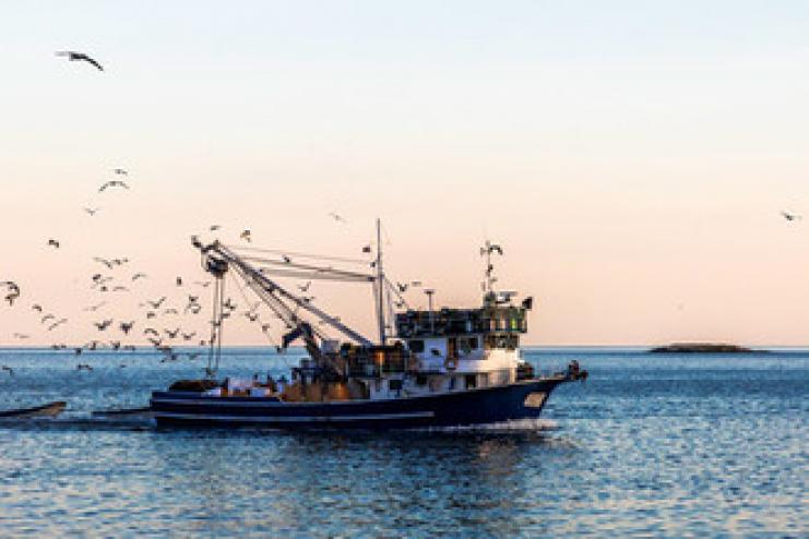 В Крыму задержали украинских моряков за якобы незаконный рыбный промысел